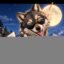 NEAR WOLF icon