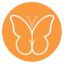 Butterflycoin icon