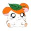 HAMTARO icon
