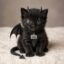 Lil Black Dragon icon