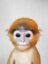 Loudgayrex icon