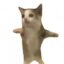 catpe icon