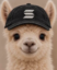 Solama icon