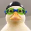 nasduck icon