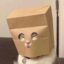 Sleeping Anonymous Cat icon