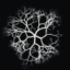 Brainless Mold icon