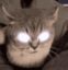 Mad Cat icon