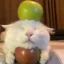 Apple Cat icon