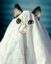 Ghost Cat icon