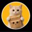 ZCATOUT icon
