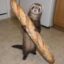 ferret wif baguette icon