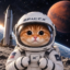Space Cat Index icon