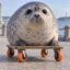 seal wif wheels icon