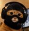 Anonymous Cat icon