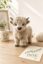 Yarn Yak icon