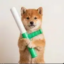 BATON icon