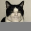 CATMAN icon