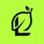 LIME icon