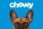 CH icon