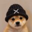 Xtremely Rich Puppy icon