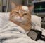 Near Death Experience icon