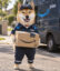 Delivery inu icon