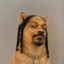 Snoop DOGE icon