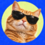 cats.markets icon