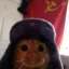 Soviet War Cat icon
