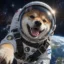 Spatial Inu icon