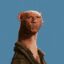 VIN WEASEL icon