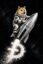 Space Inu icon