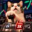 X Leveraged Cat icon