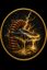 TeslaForge icon