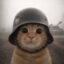 Trench Cat icon