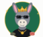 DONKING icon