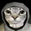 cat1 icon
