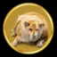 DOGE icon