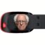 Bernie Sandisk icon