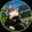 NVDA Cat icon