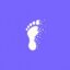 Nomad Privacy icon