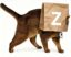 Schrödinger icon
