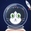 CAT Félicette C341 icon