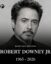 Robert Downey Jr icon