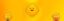 Binance Bibi icon