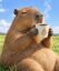 Coffe Barra icon