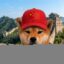chinu icon