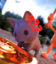 CONK icon