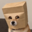 Anonymous Inu icon