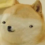 Natural Stupidinu icon